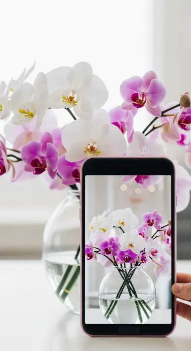 50 Stunning Flower Phone Wallpapers to Brighten Your Screen 3 Elegant Orchid Arrangement